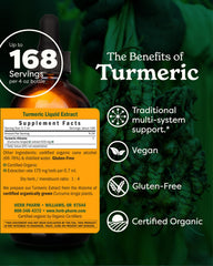 Herb Pharm turmeric liquid extract dropper ready for precise dosing