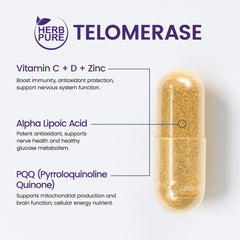 HERB PURE Gotu Kola capsules emphasizing memory function and circulation.