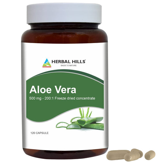 Herbal Hills Aloe Vera Capsules bottle for daily wellbeing support