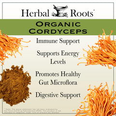 Herbal Roots Cordyceps fruiting body image emphasizes potent natural wellness properties