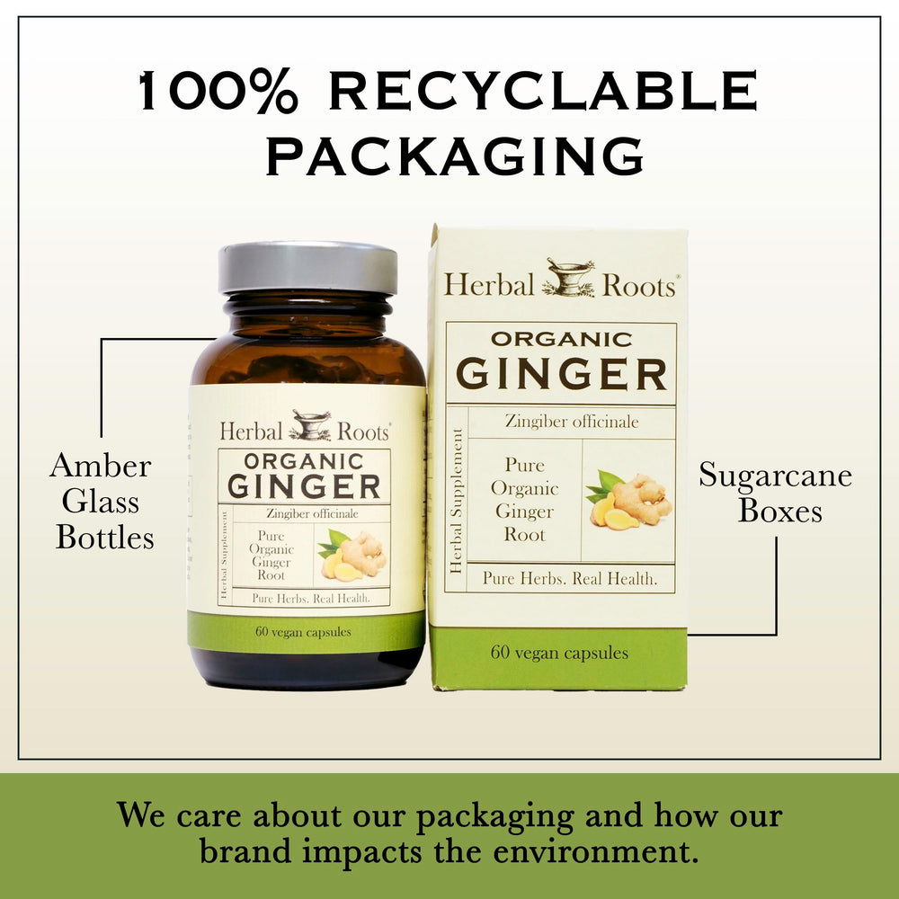 Closeup of Herbal Roots ginger powder highlighting 1,200 mg per serving.