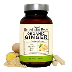 Herbal Roots Ginger Supplement bottle for convenient daily use and digestive comfort.