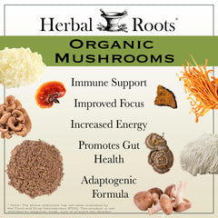 Herbal Roots organic USDA label on packaging emphasizes clean ingredients.