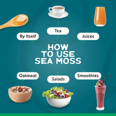 Herbal Vineyards Gold Sea Moss gel prep in progress.