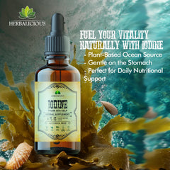 HERBALICIOUS iodine drops sea kelp ingredient detail highlighting natural nutrition.