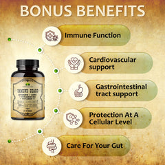 Herbalicious ingredients visual highlights quinine bark with vitamins.