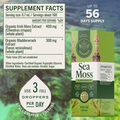 HERBAMAMA bladderwrack complex drops bottle—two-herb tincture option.