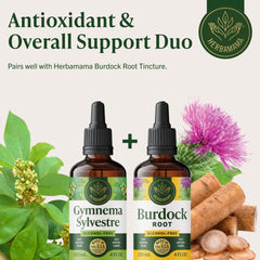 HERBAMAMA bottle with plant-based tincture signaling clean nutrition.