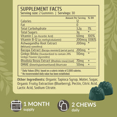 HERBAMAMA Brain Support bottle front view highlighting vegan formula