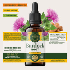 HERBAMAMA Burdock tincture drops ready for daily routine.