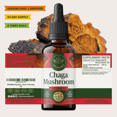 HERBAMAMA chaga dose guidance for twice-daily use.
