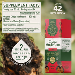 HERBAMAMA chaga tincture dropper captures quick absorption and convenience.