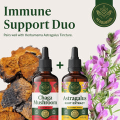 HERBAMAMA Chaga Tincture water or juice mix being prepared for daily use