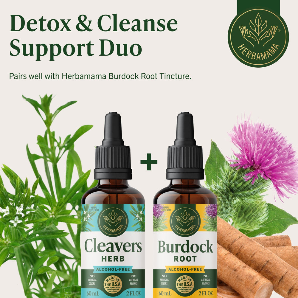 Herbamama Cleavers tincture daily-use setup with water glass.