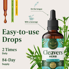 Herbamama Cleavers tincture ingredients emphasizing vegan formula.