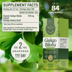 HERBAMAMA Ginkgo Biloba tincture ingredients featuring leaves glycerin and water for gentle focus