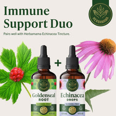 Herbamama Goldenseal dropper into water, easy to mix.