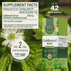 Herbamama Goldenseal root illustration emphasizing natural extract quality