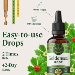 Herbamama Goldenseal tincture beside a glass of water for easy mixing