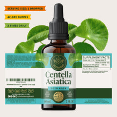 Herbamama Gotu Kola tincture bottle and glass illustrate a 42-day supply.