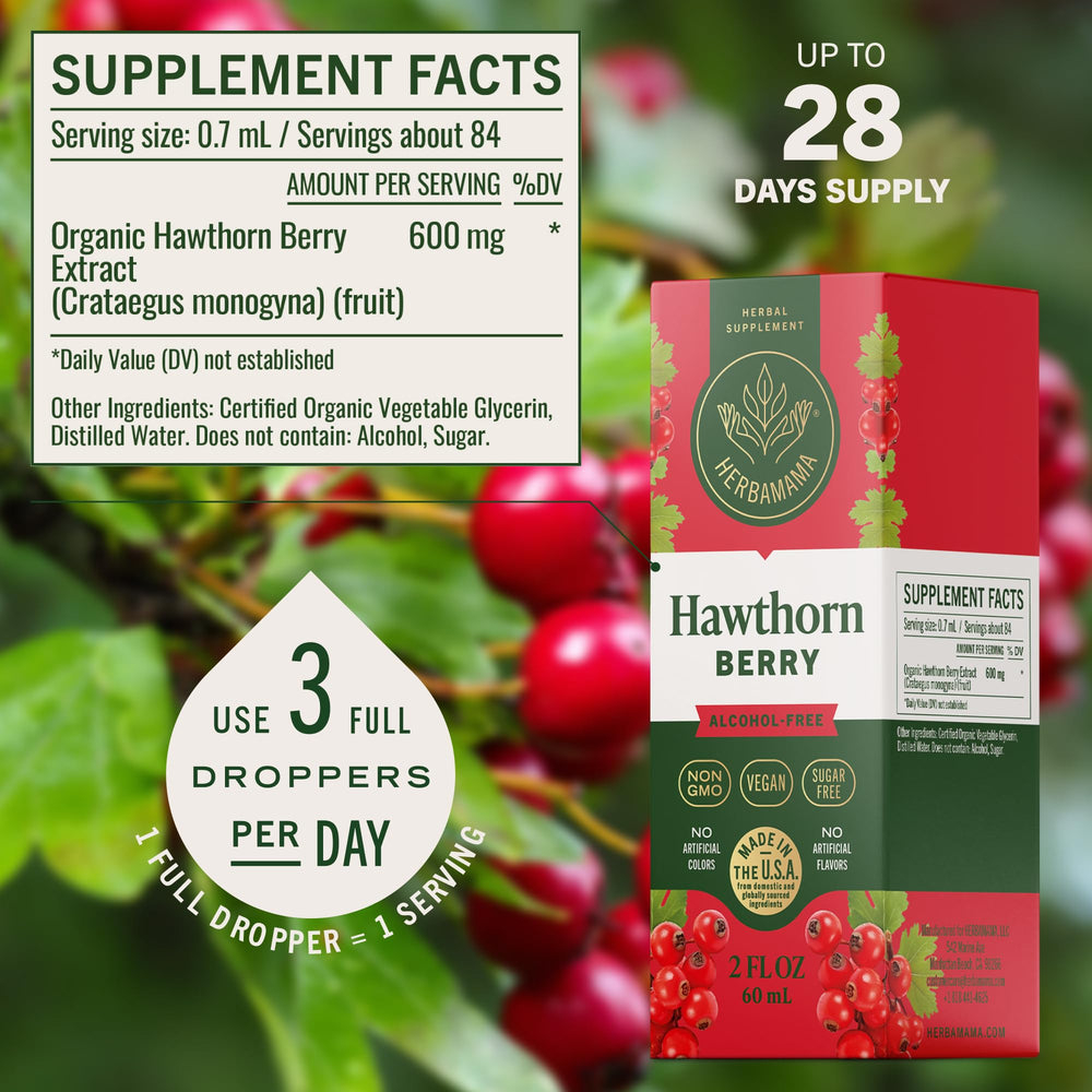 Hawthorn berries close-up; natural extract source for antioxidants