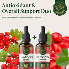 Dosing drops directly on the tongue from HERBAMAMA bottle