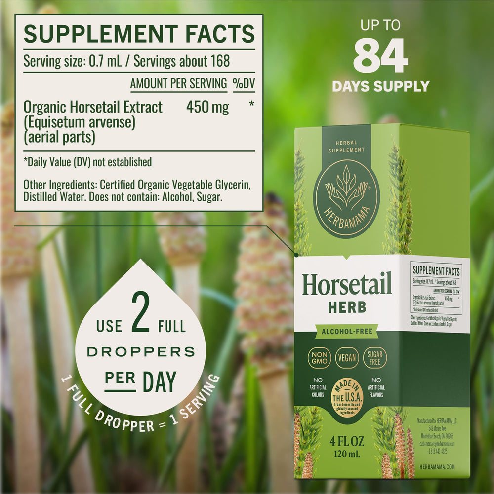 HERBAMAMA Horsetail leaves close-up highlighting natural herbal ingredients for beauty routines.