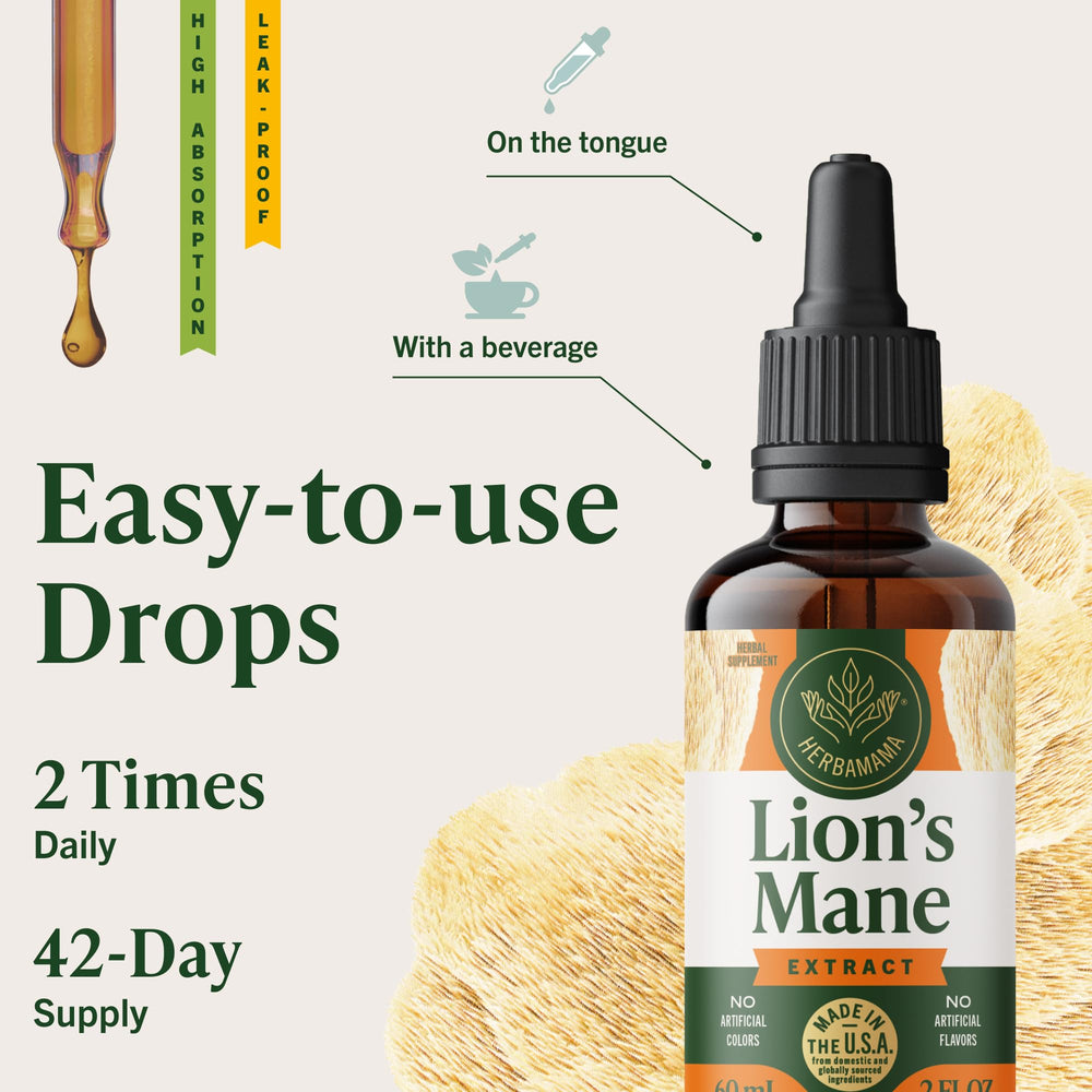 Herbamama close-up of Lions Mane extract concentrate.