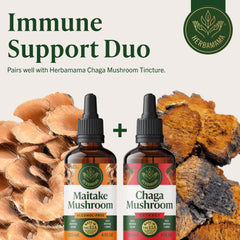 Maitake tincture bottle on kitchen shelf ready for daily routine.