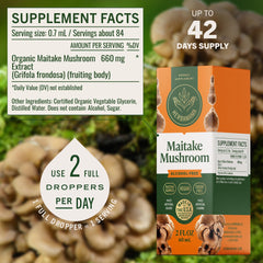 Herbamama Maitake tincture under tongue for fast absorption and quick use