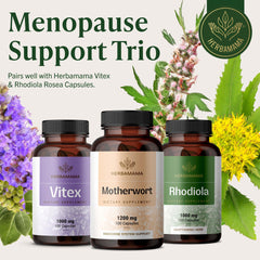 Attentive user selecting HERBAMAMA capsules as part of menopause routine