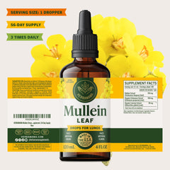 HERBAMAMA Mullein Drops absorption-focused liquid for quick uptake