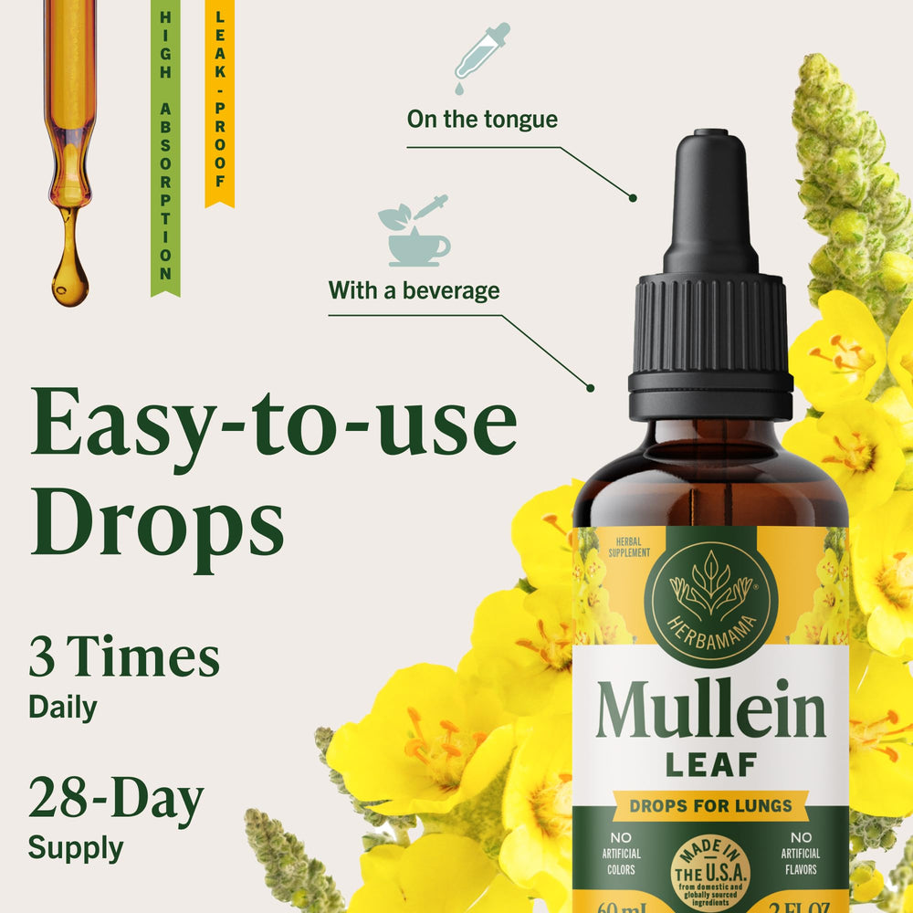 HERBAMAMA Mullein Drops vegan glycerin formula emphasizes alcohol- and sugar-free benefits.