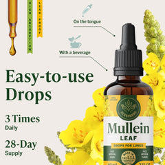 HERBAMAMA Mullein Drops vegan glycerin formula emphasizes alcohol- and sugar-free benefits.