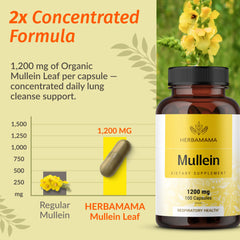 HERBAMAMA Mullein Leaf Capsules on-the-go pack for travel-friendly routine.