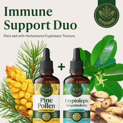 HERBAMAMA Pine Pollen tincture vegan non GMO seal highlights ethical choice