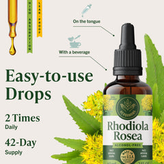 HERBAMAMA Rhodiola daily-use bottle in hands demonstrates easy integration.