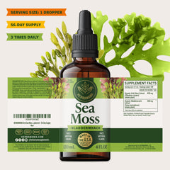 HERBAMAMA sea moss and bladderwrack on kitchen shelf ready for daily supplementation.