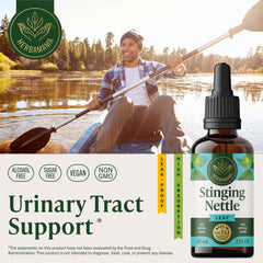 HERBAMAMA Stinging Nettle tincture dropper beside water for easy daily use.