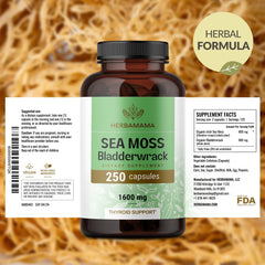 HERBAMAMA three-ingredient formula graphic showing sea moss and bladderwrack