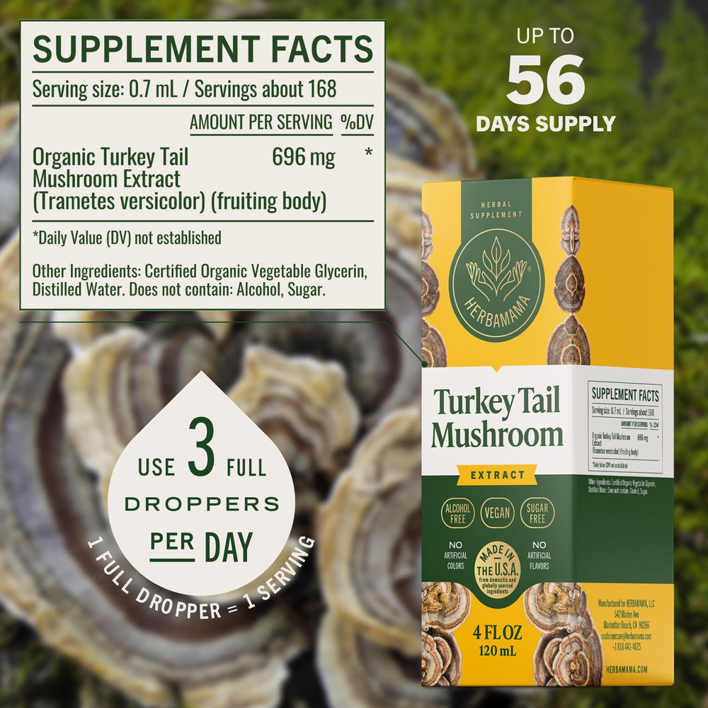 Close-up of turkey tail mushroom extract highlighting antioxidants