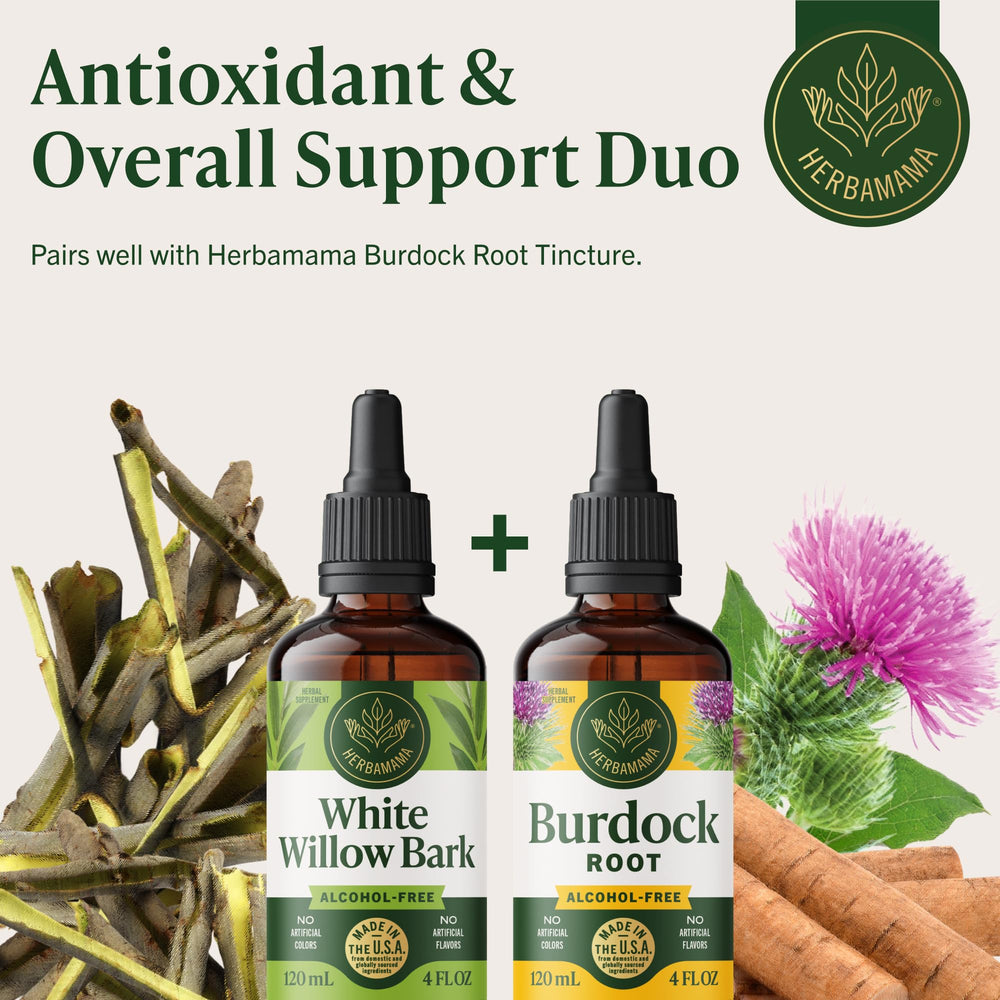 HERBAMAMA White Willow Bark Tincture dropper close-up with rich liquid