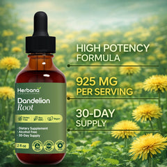 Herbana Manufacturing organic dandelion root with clean ingredients