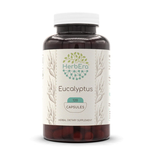 HerbEra Eucalyptus bottle front view for daily natural support.
