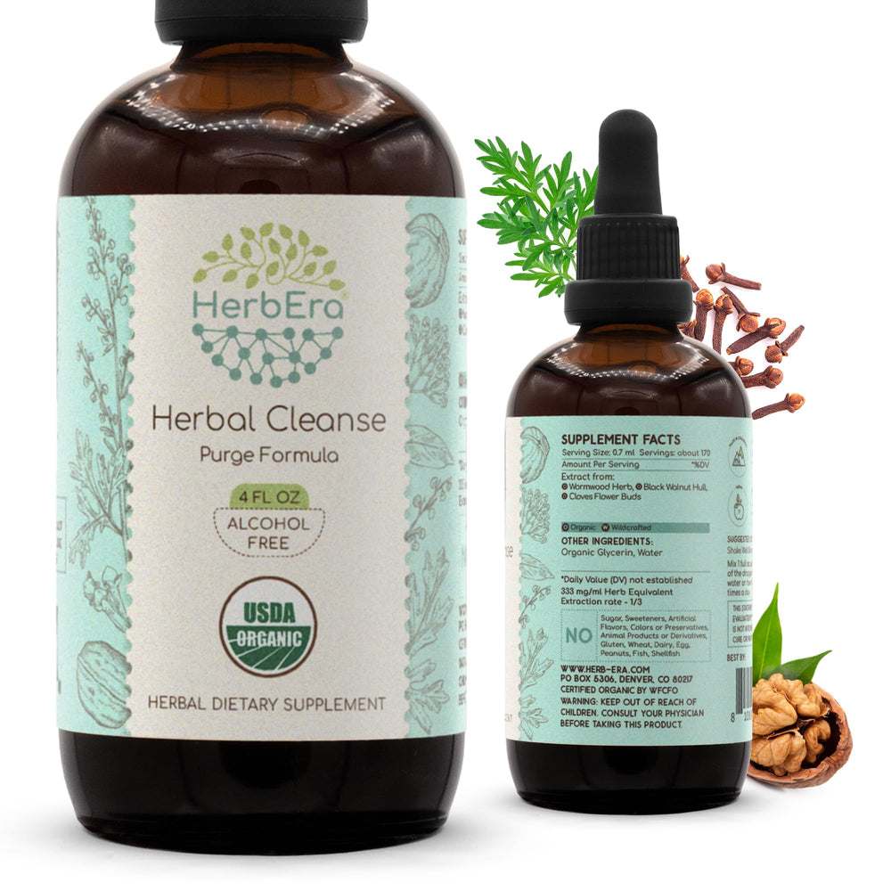 HerbEra Herbal Cleanse bottle front label showing organic tincture for daily wellness