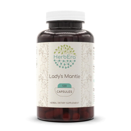 HerbEra Lady's Mantle 120-capsule bottle front supports daily herbal routine.
