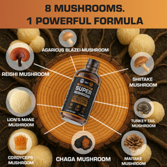HERBIFY Reishi bottle highlighting immune support and balanced energy for daytime use