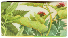 Herbs Etc. Essiac Tonic being poured into water for easy daily mixing.