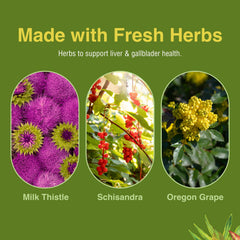 Herbs Etc. Liver Tonic product shot with natural ingredients hinting at liver wellness.