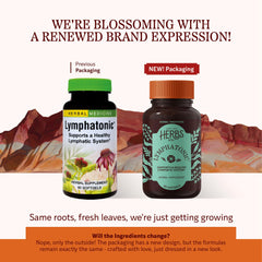 Two-pack display for Herbs Etc Lymphatonic softgels emphasizes value and continuity